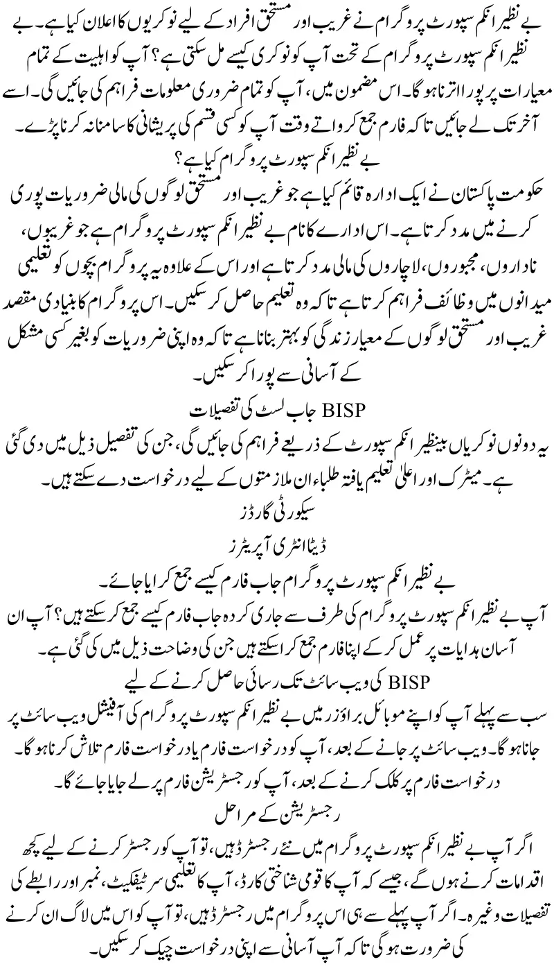 Fill Out BISP Job Application Form And Submission